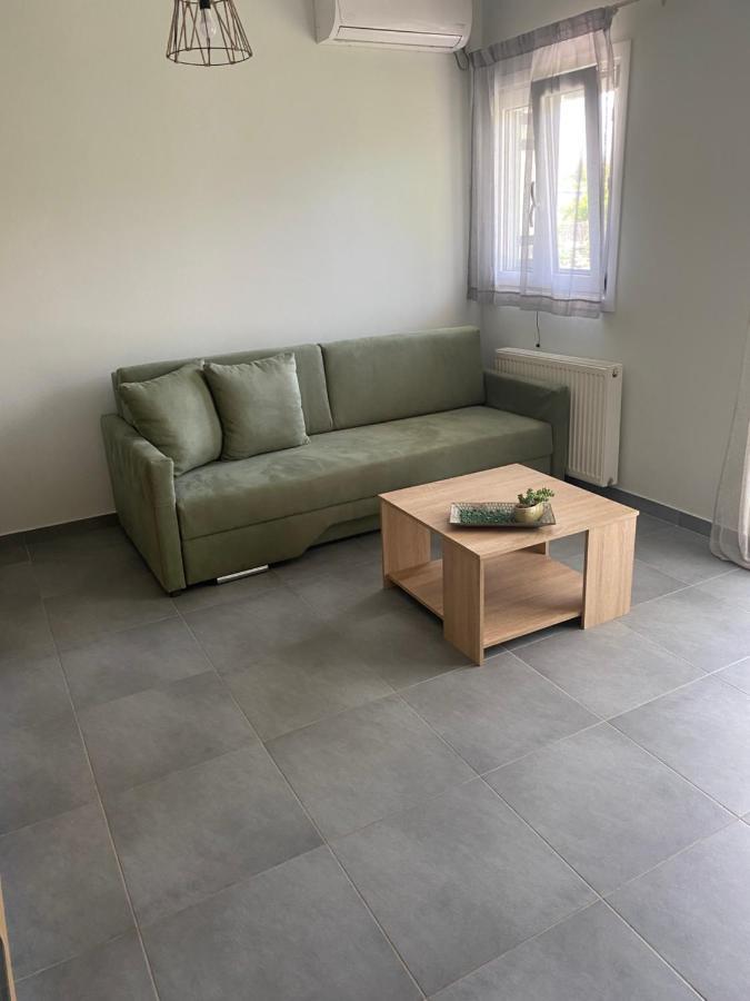 Lefkada Town Apartment المظهر الخارجي الصورة