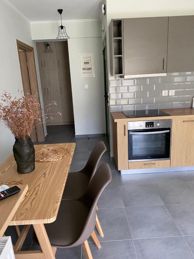 Lefkada Town Apartment المظهر الخارجي الصورة